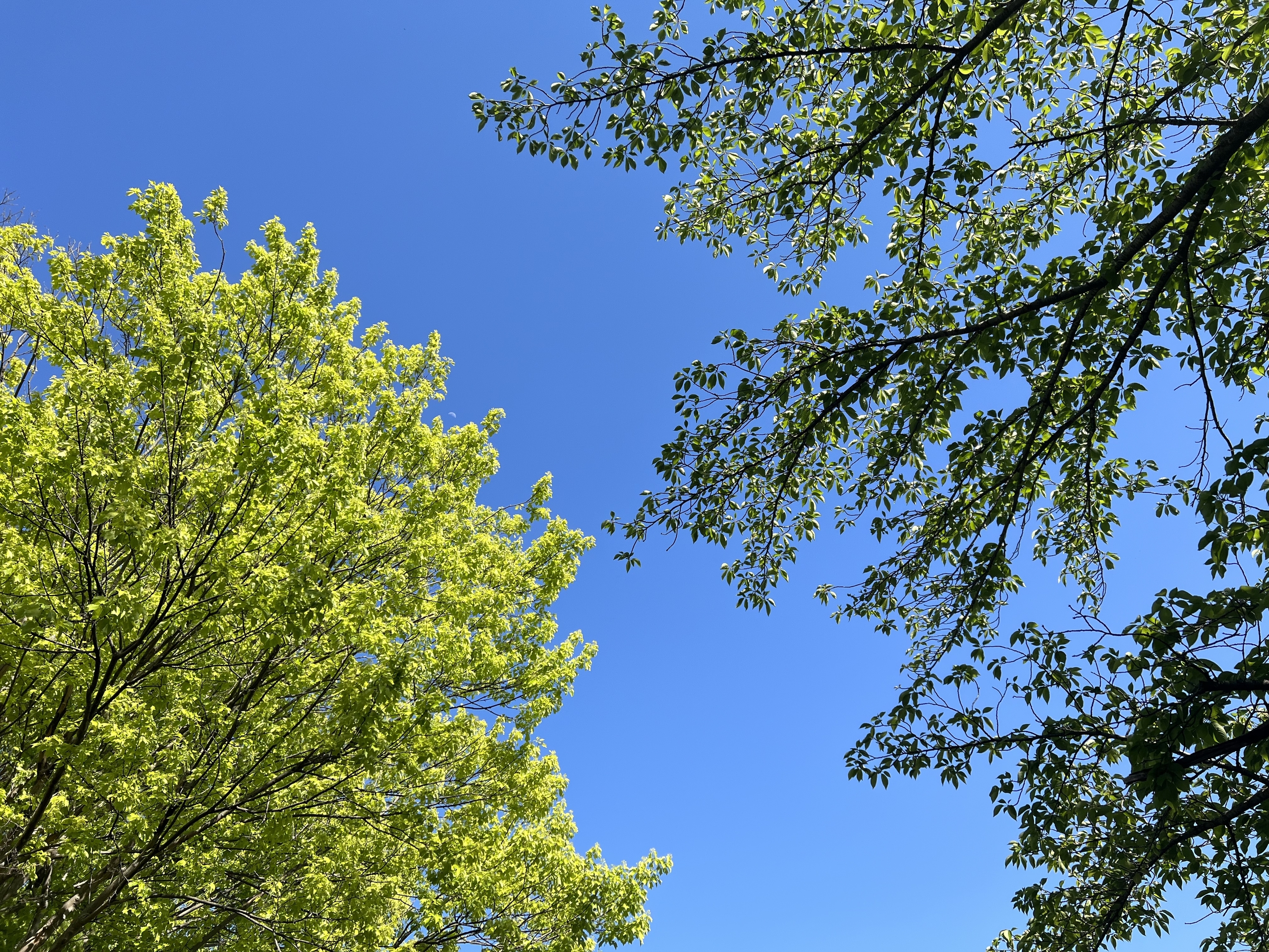 大高緑地公園